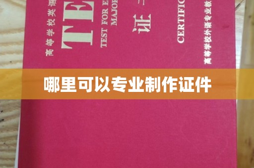 滨海哪里可以专业制作证件