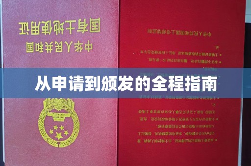 滨海从申请到颁发的全程指南