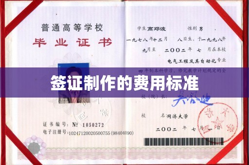 滨海签证制作的费用标准