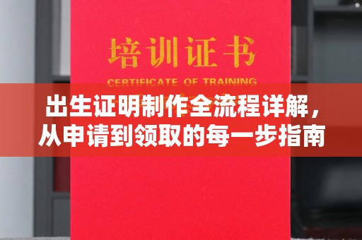 滨海出生证明制作全流程详解，从申请到领取的每一步指南