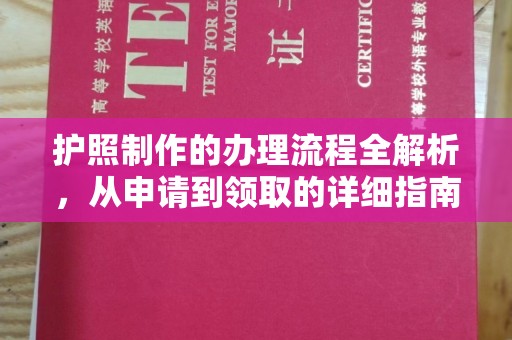 滨海护照制作的办理流程全解析，从申请到领取的详细指南