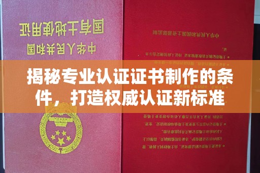 滨海揭秘专业认证证书制作的条件，打造权威认证新标准