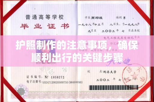 滨海护照制作的注意事项，确保顺利出行的关键步骤
