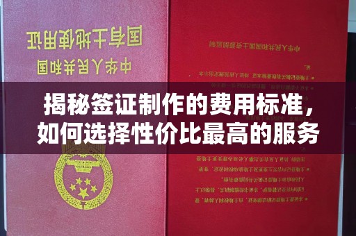 滨海揭秘签证制作的费用标准，如何选择性价比最高的服务？