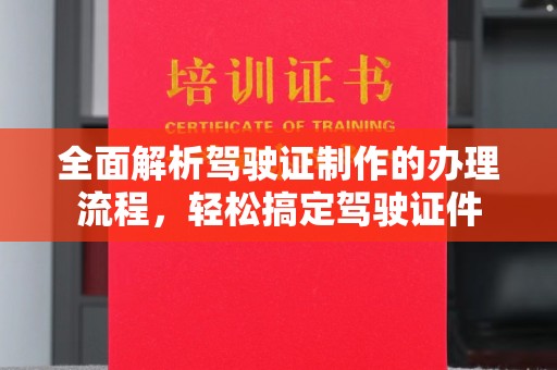 滨海全面解析驾驶证制作的办理流程，轻松搞定驾驶证件