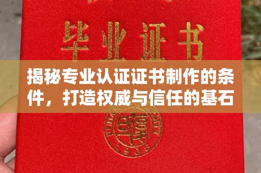 滨海揭秘专业认证证书制作的条件，打造权威与信任的基石