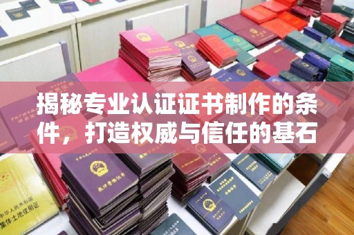滨海揭秘专业认证证书制作的条件，打造权威与信任的基石
