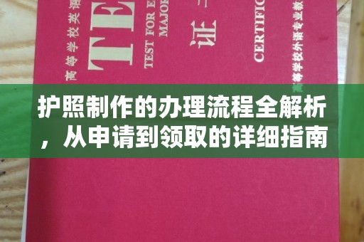 滨海护照制作的办理流程全解析，从申请到领取的详细指南