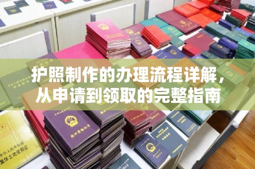 滨海护照制作的办理流程详解，从申请到领取的完整指南