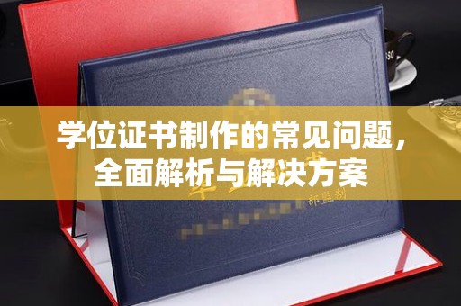 滨海学位证书制作的常见问题，全面解析与解决方案