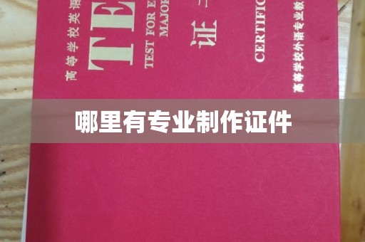 滨海哪里有专业制作证件