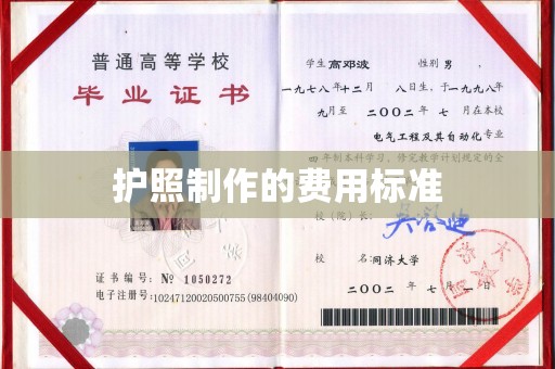 滨海护照制作的费用标准