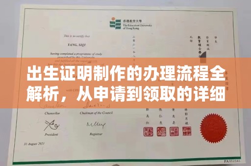 滨海出生证明制作的办理流程全解析，从申请到领取的详细指南