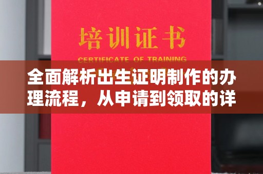 滨海全面解析出生证明制作的办理流程，从申请到领取的详细指南